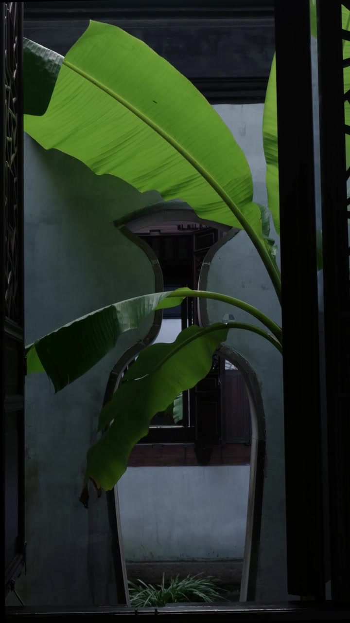 A leaf interrupts the view through a window.