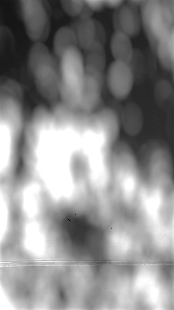 Shadow Water: a black-and-white camera recording of moving light on water.